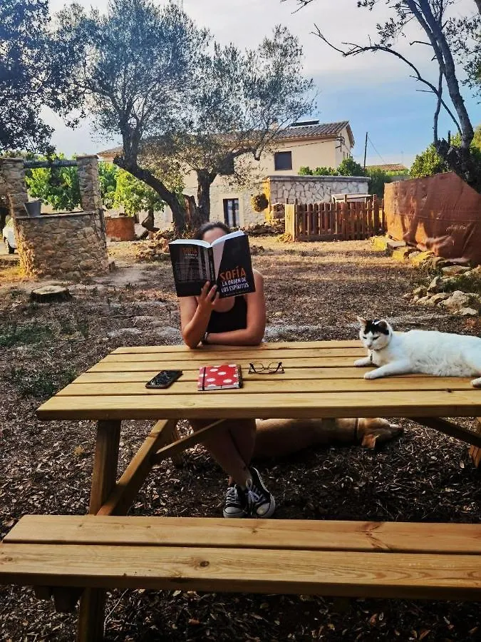 Apartment Can Costals Olivo Pals Spain